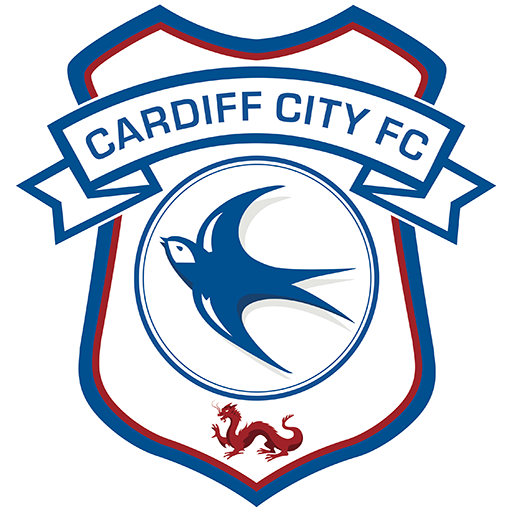 Cardiff badge