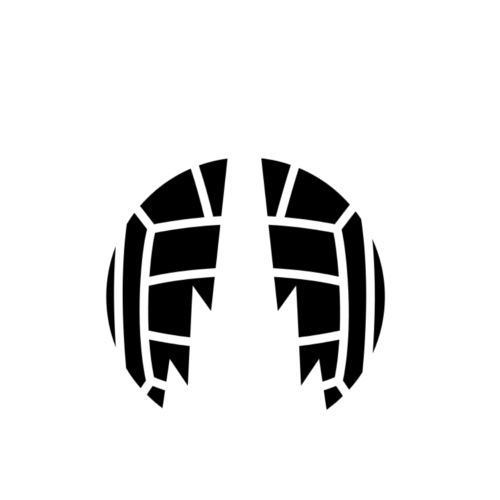 Falkirk badge