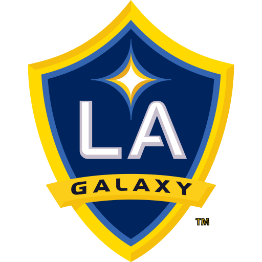 L.A. Galaxy artwork 1