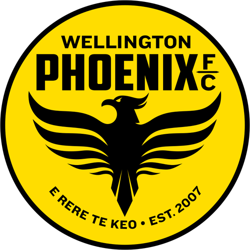 Wellington Phoenix artwork 1