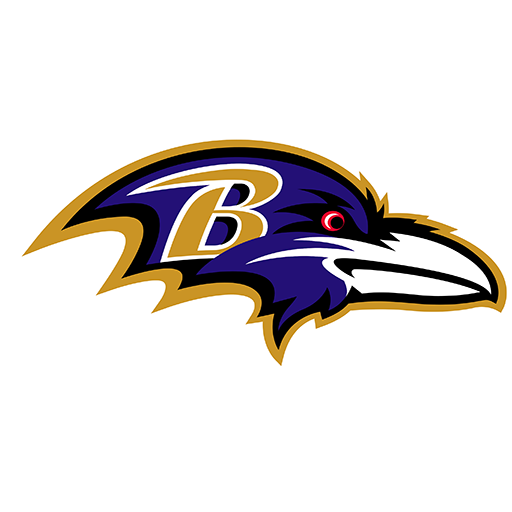 Baltimore Ravens artwork 1