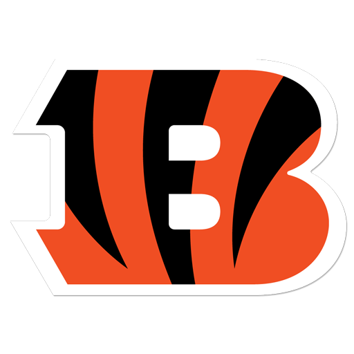 Cincinnati Bengals artwork 1