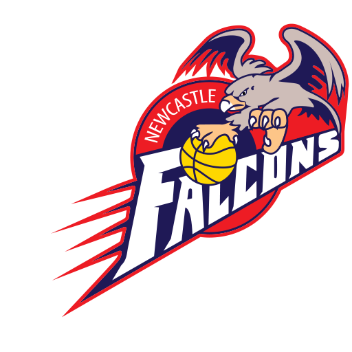 Newcastle Falcons artwork 1