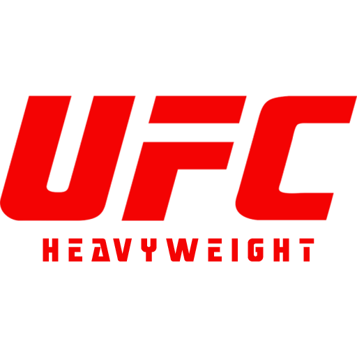 UFC Mens badge