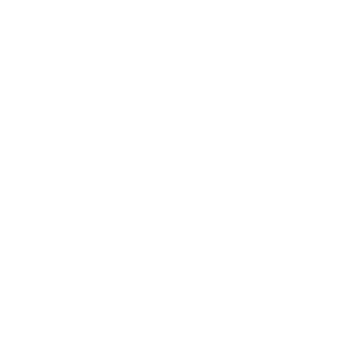 Ospreys artwork 1