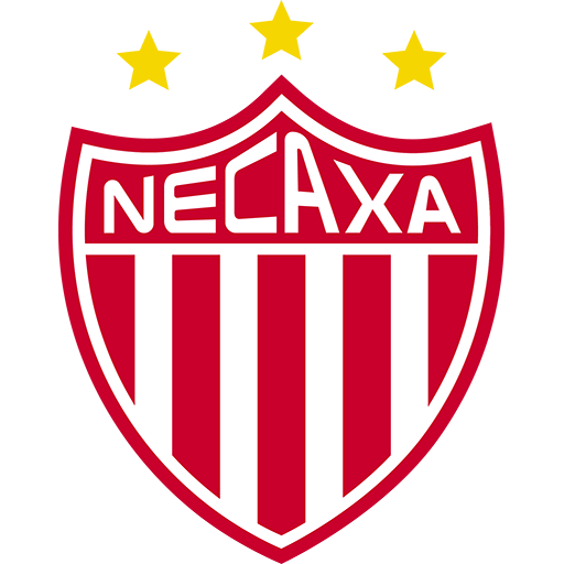 Necaxa artwork 1