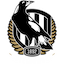 Collingwood Football Club