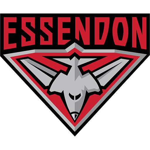 Essendon Football Club artwork 1