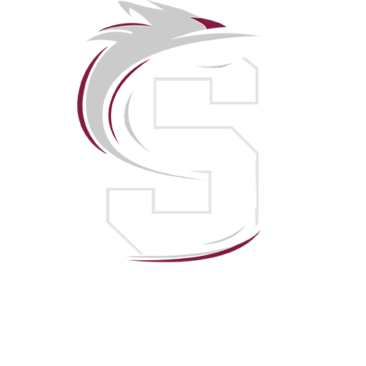 Northamptonshire Steelbacks artwork 1