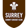 Surrey t20