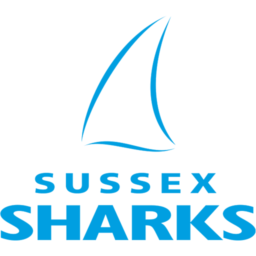Sussex Sharks artwork 1