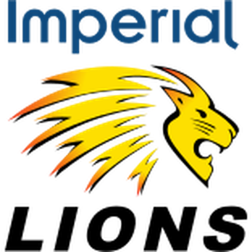 Highveld Lions artwork 1