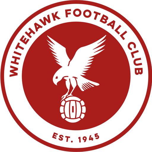 Whitehawk artwork 1