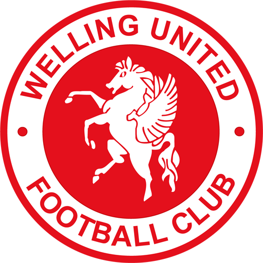 Welling United artwork 1