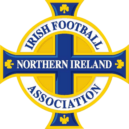N.Ireland badge