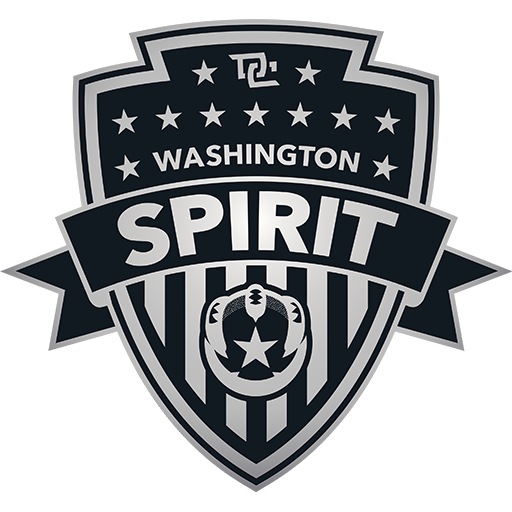 Washington Spirit artwork 1