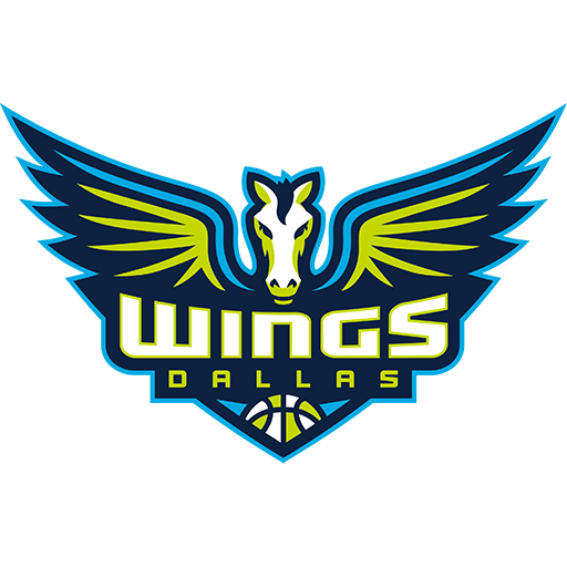 Dallas Wings artwork 1