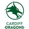 Celtic Dragons