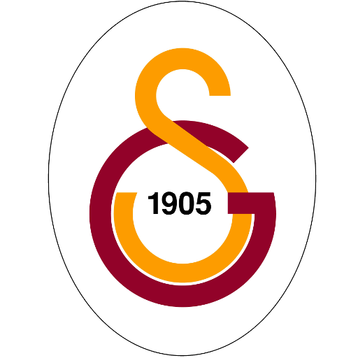 Galatasaray Volleyball artwork 1