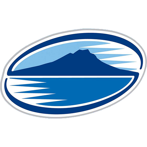 Blues Super Rugby artwork 1