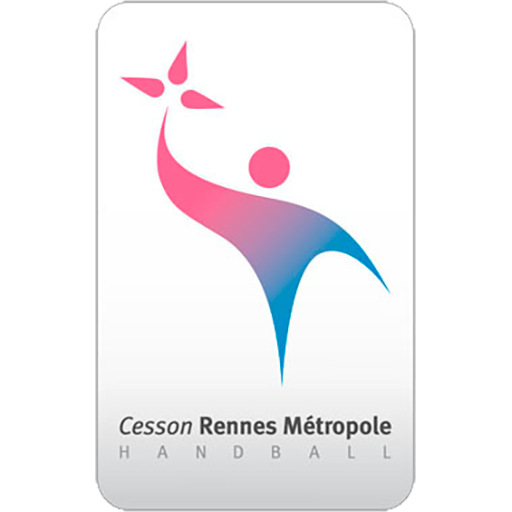 Cesson Rennes MHB artwork 1