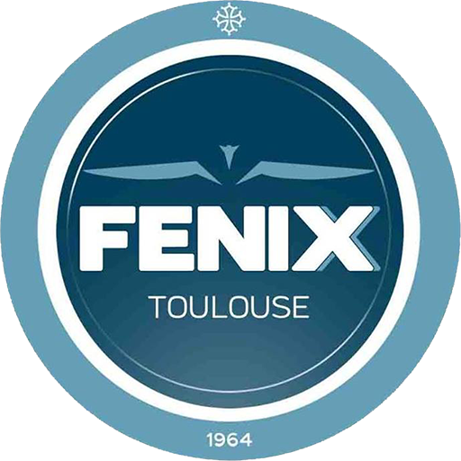 Fenix Toulouse Handball artwork 1