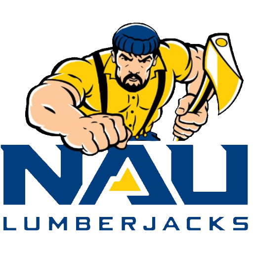 Northern Arizona artwork 1