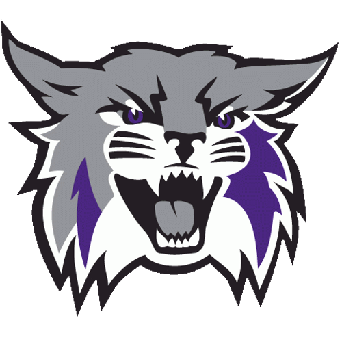 Weber State badge