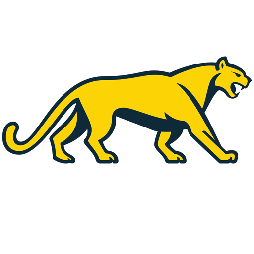 Argentina Rugby badge