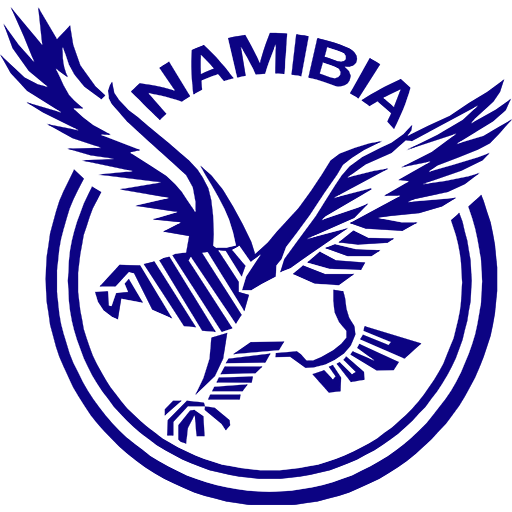 Namibia Rugby artwork 1