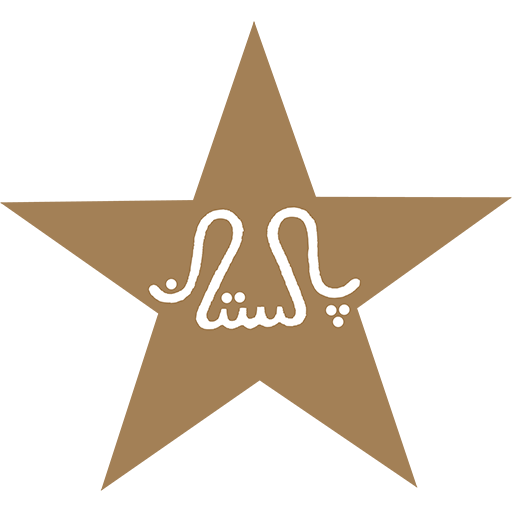 Pakistan Cricket badge