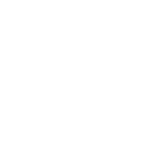 Fijian Drua badge