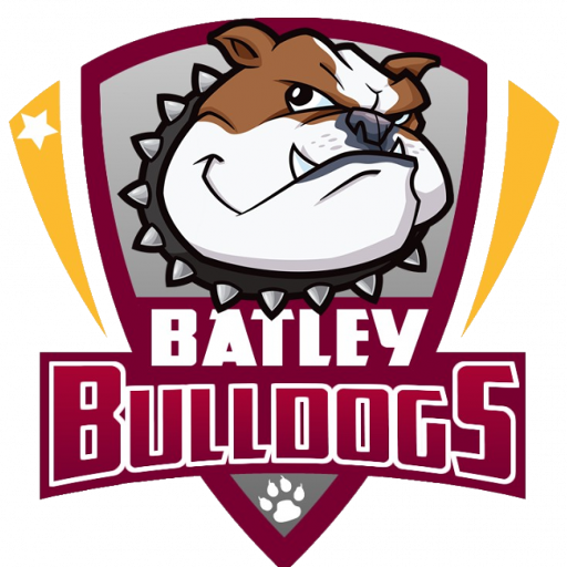 Batley Bulldogs artwork 1