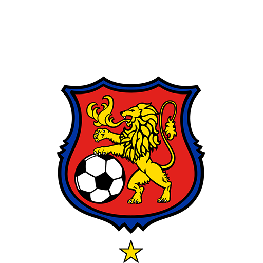Caracas F.C. artwork 1