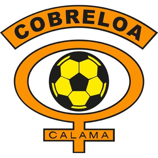Cobreloa artwork 1