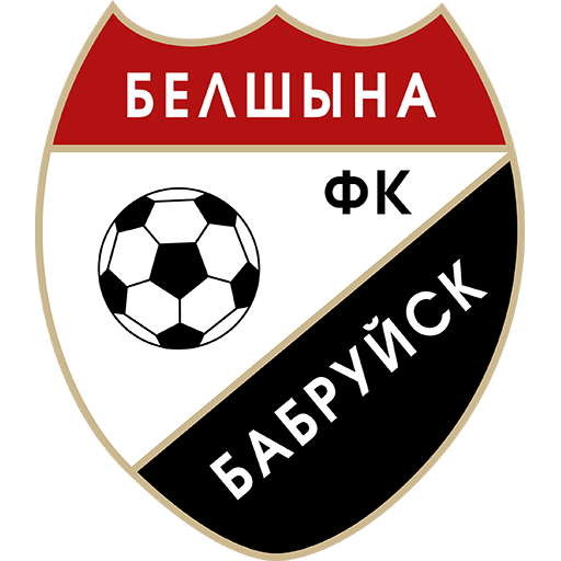 FC Belshina Bobruisk artwork 1