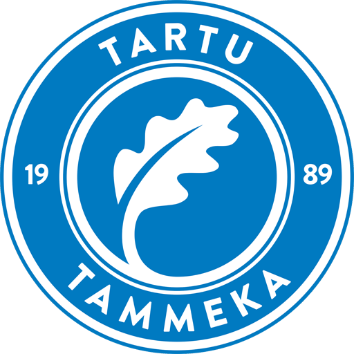 Tartu JK Tammeka artwork 1
