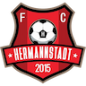 FC Hermannstadt
