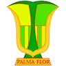 Atlético Palmaflor