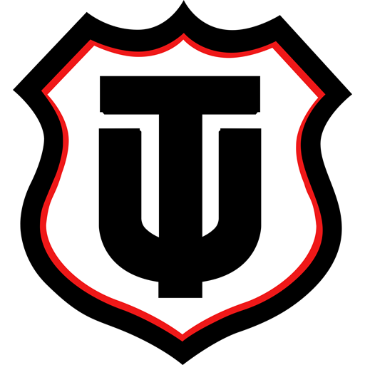 Técnico Universitario badge
