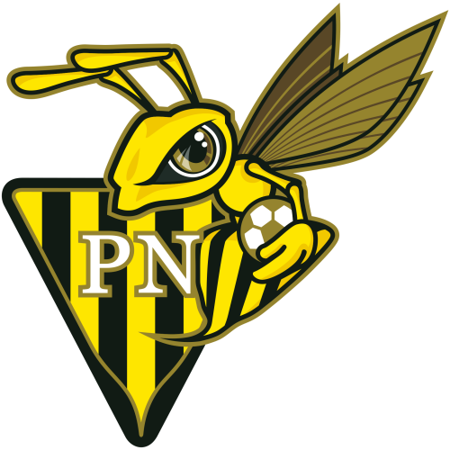 Progrès Niederkorn artwork 1