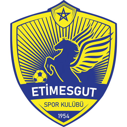 Etimesgut Belediyespor artwork 1