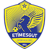 Etimesgut Belediyespor