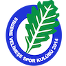 Ergene Velimeşespor