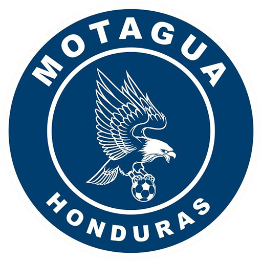 Motagua artwork 1