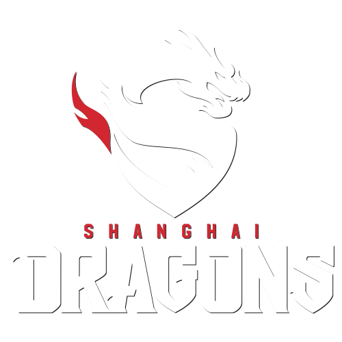 Shanghai Dragons artwork 1
