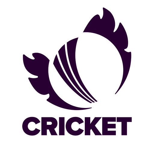 Scotland Cricket artwork 1