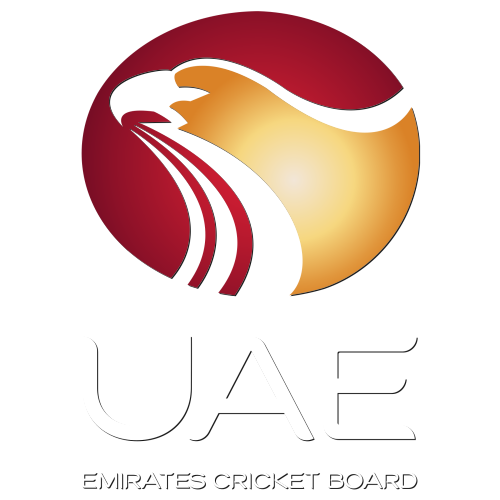 UAE Cricket artwork 1