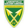 Golden Arrows