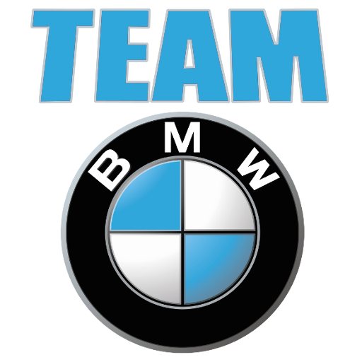 Team BMW badge